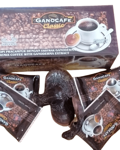 IMG_20221004_094157-removebg-preview